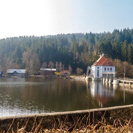 Nr 3a2, Hagbuegerl, Bayr Wald